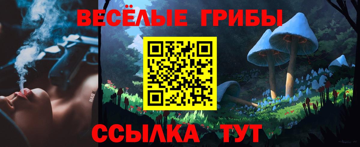 Алейск  Галлюциногенные грибы Psilocybe  Галлюциногенные грибы Psilocybe  Вход с VPN 